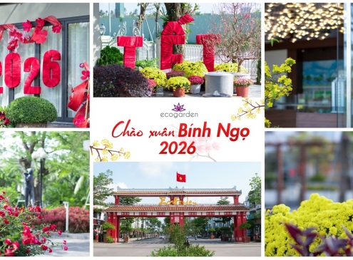 Chào mừng Xuân Bính Ngọ 2026